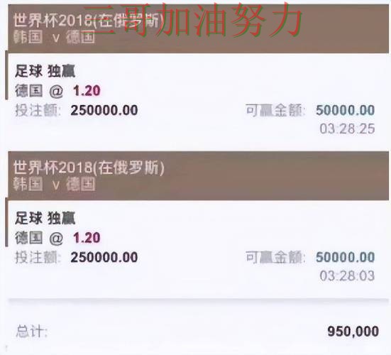 世界杯投注平台整理：聚焦平台排行与赛事直播体验 - 世界杯高清直播